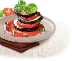 Tefal Success Ovenware Ovenschotel - 20 X 26 Cm 16 Tefal Success Ovenware Ovenschotel - 20 X 26 Cm -Tefal Koken Verkoopwinkel 1200x1014