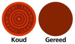 TEFAL Koekenpan - Pro Style - Ø 21 Cm - Titanium Pro - Hoge Rand - Inductie - Compacte Pan -Tefal Koken Verkoopwinkel 1200x703