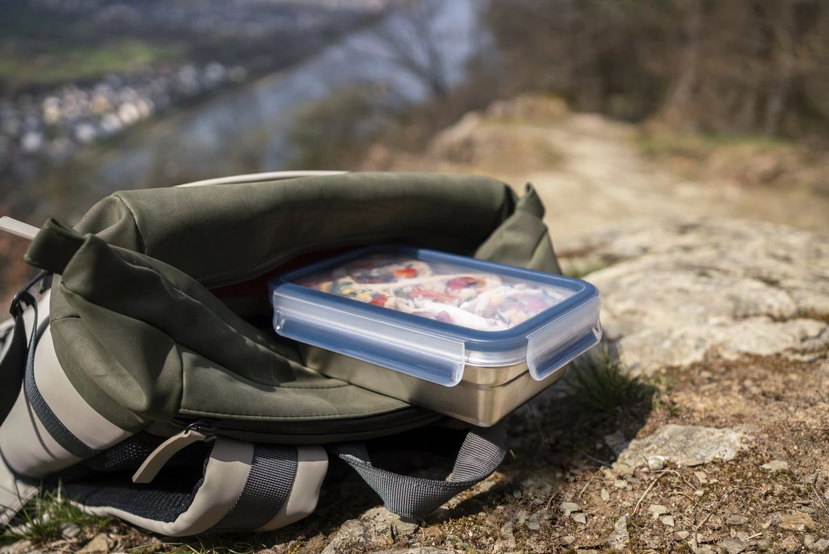 Tefal MasterSeal RVS - Vershouddoos - Rechthoek - 0,8L 13 Tefal MasterSeal RVS - Vershouddoos - Rechthoek - 0,8L - Afbeelding 13