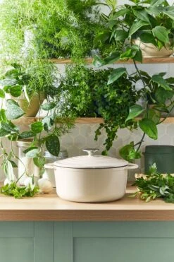 Tefal LOV Braadpan - 5L - Ø25 Cm - Beige -Tefal Koken Verkoopwinkel 800x1200 11