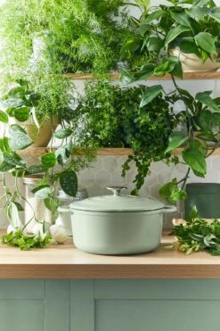 Tefal LOV Braadpan - 5L - Ø25 Cm - Groen 23 Tefal LOV Braadpan - 5L - Ø25 Cm - Groen -Tefal Koken Verkoopwinkel 800x1200 13